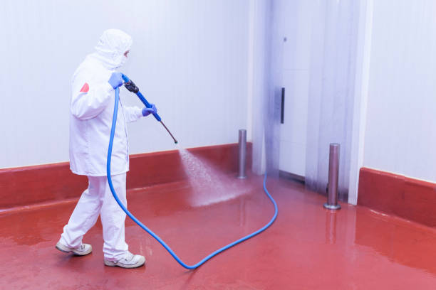 Best Graffiti Removal  in Mckee City, NJ