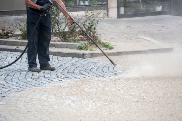 Best Animal Enclosure Cleaning  in Mckee City, NJ