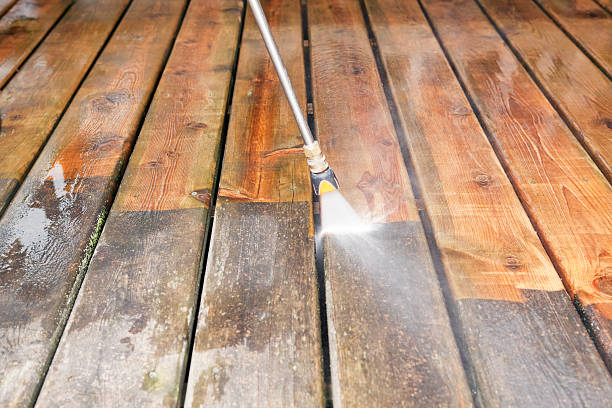 Best Roof Washing  in Mckee City, NJ